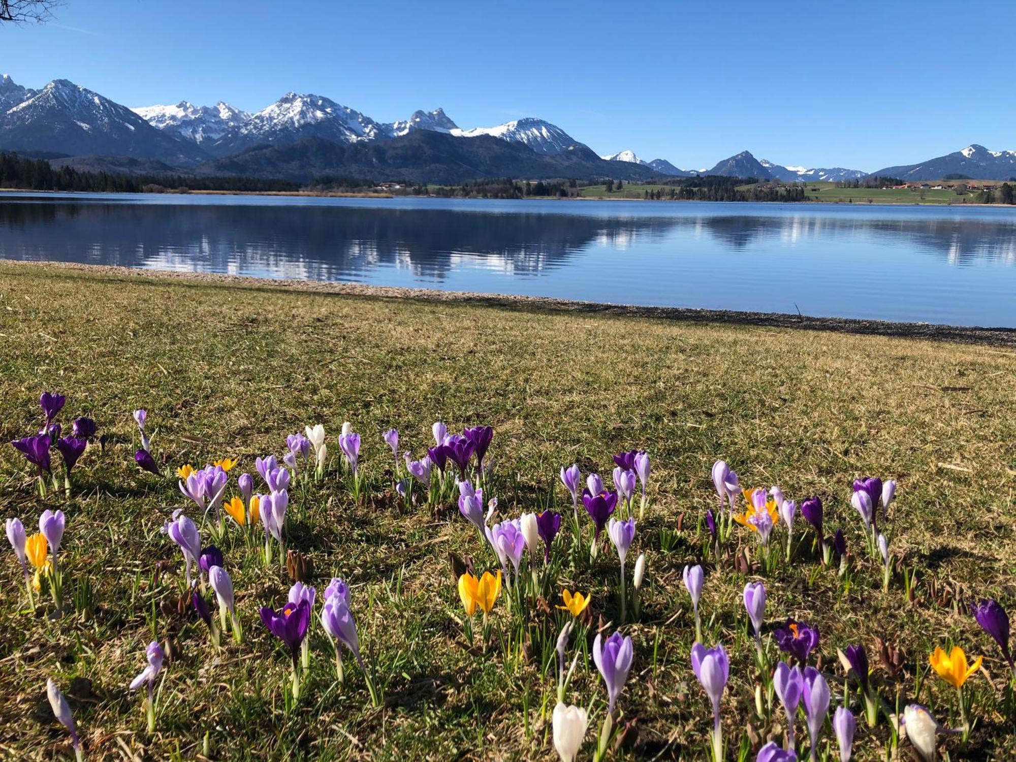 Biohotel Eggensberger Füssen Exteriér fotografie