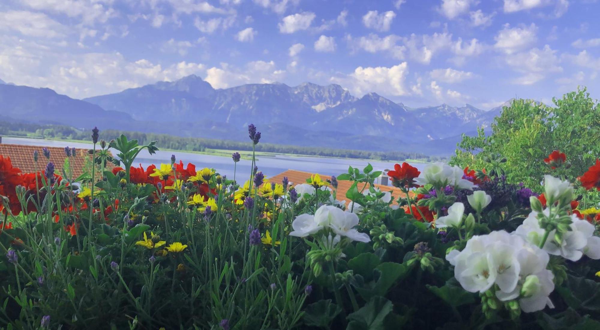 Biohotel Eggensberger Füssen Exteriér fotografie